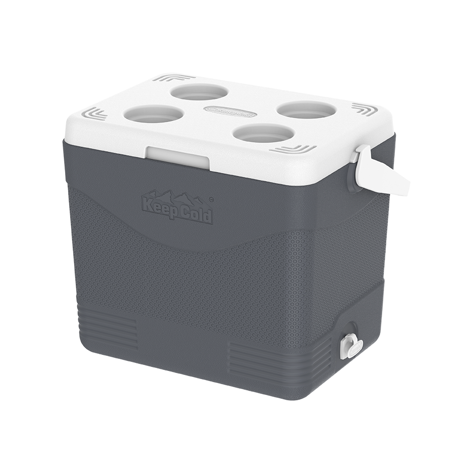 24L KeepCold Picnic Icebox - Cosmoplast Qatar