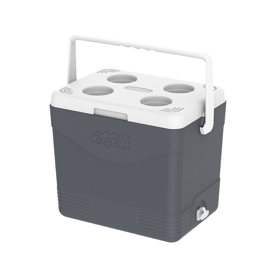 24L KeepCold Picnic Icebox - Cosmoplast Qatar