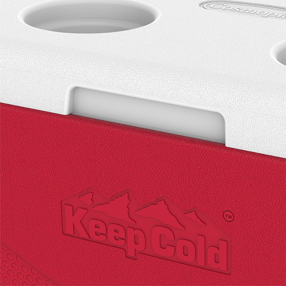 24L KeepCold Picnic Icebox - Cosmoplast Qatar