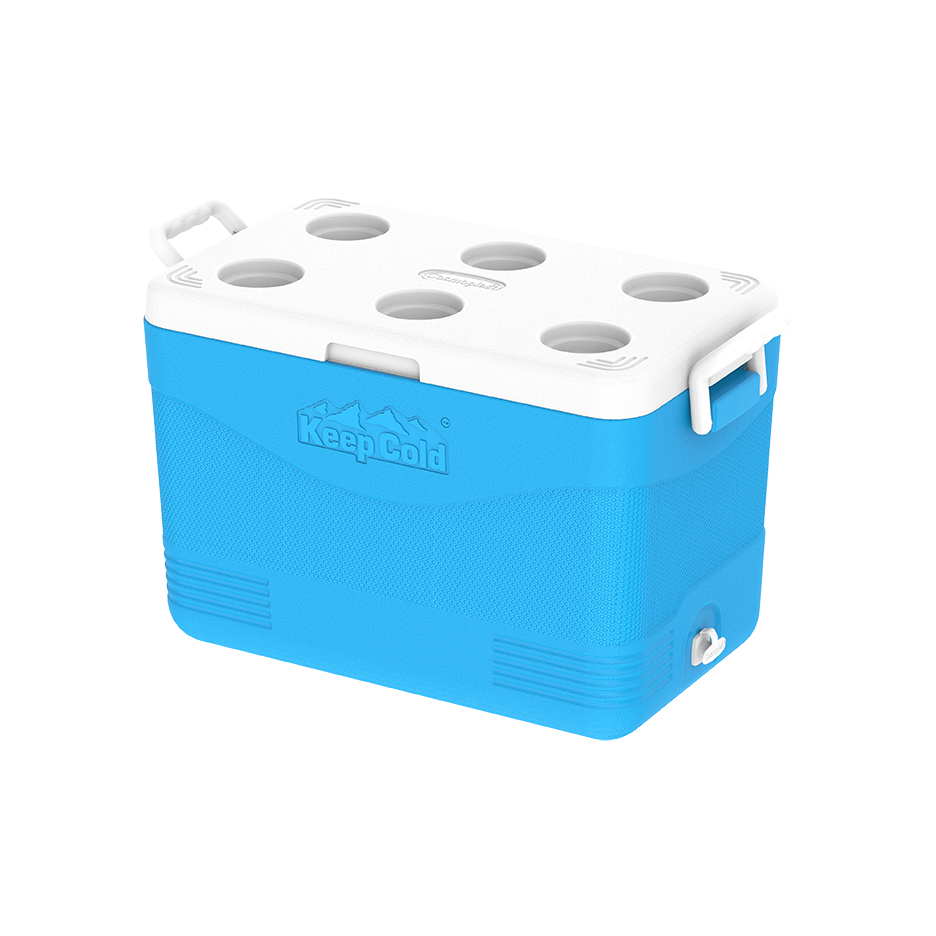 46L KeepCold Picnic Icebox - Cosmoplast Qatar