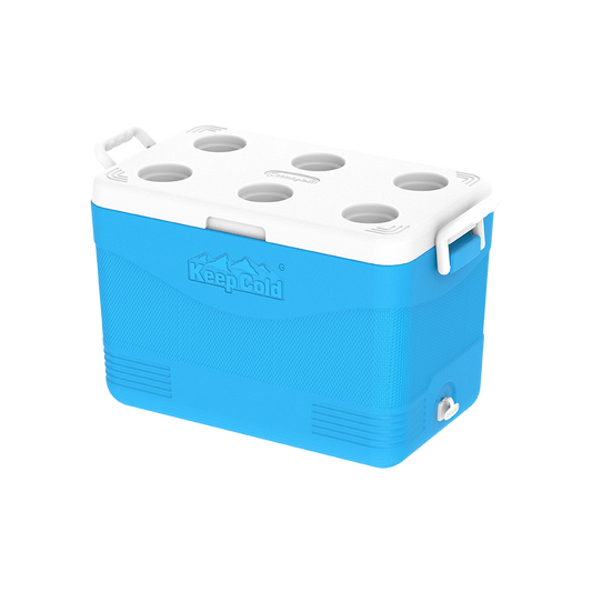 46L KeepCold Picnic Icebox - Cosmoplast Qatar