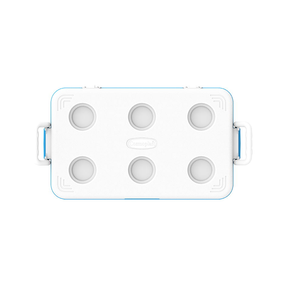 46L KeepCold Picnic Icebox - Cosmoplast Qatar