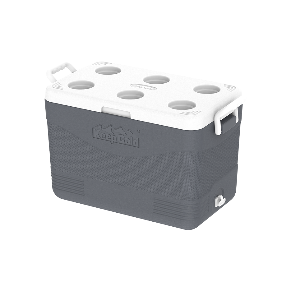 46L KeepCold Picnic Icebox - Cosmoplast Qatar