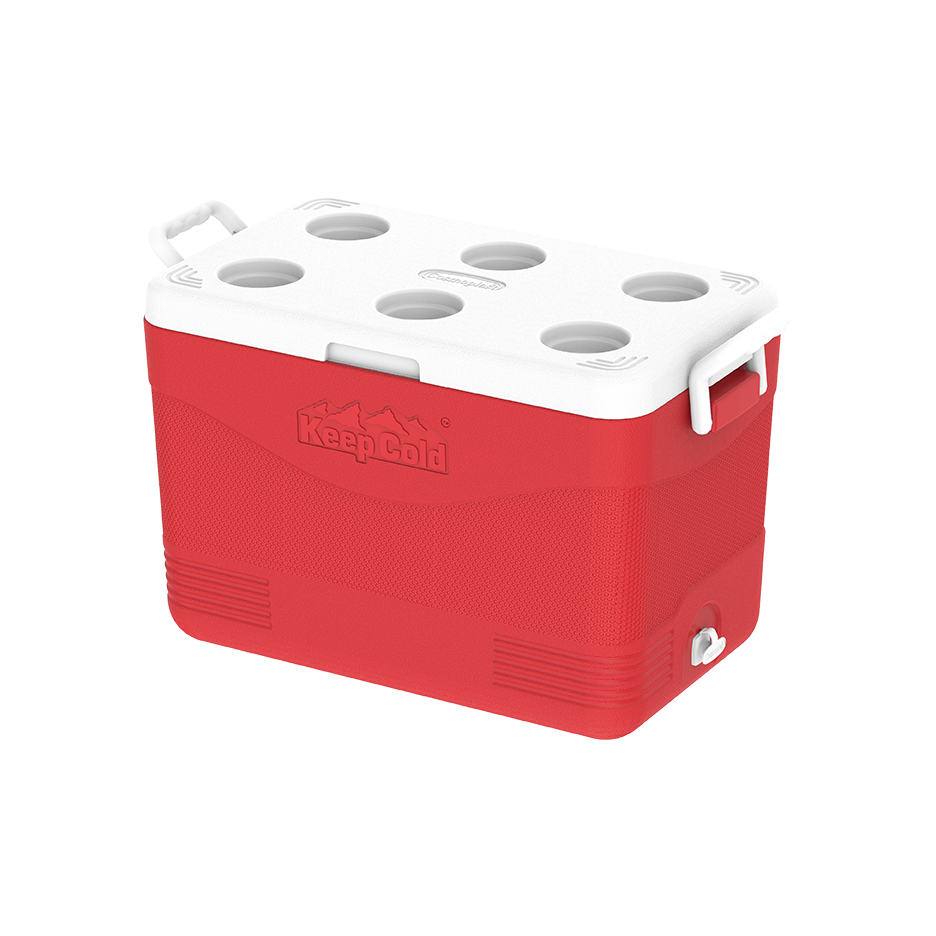 46L KeepCold Picnic Icebox - Cosmoplast Qatar