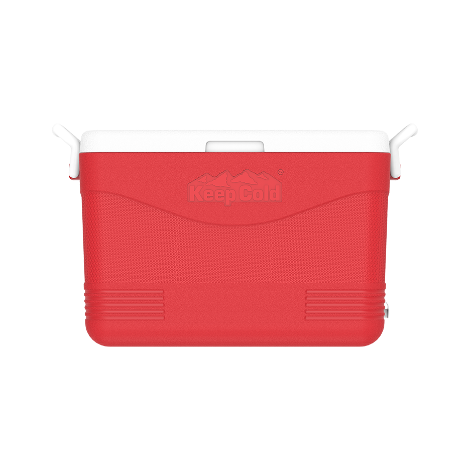 46L KeepCold Picnic Icebox - Cosmoplast Qatar
