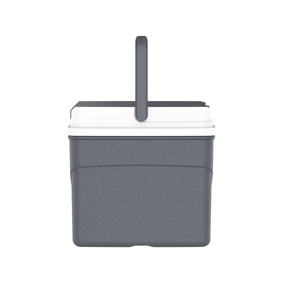 5L Keep Cold Picnic Icebox - Cosmoplast Qatar