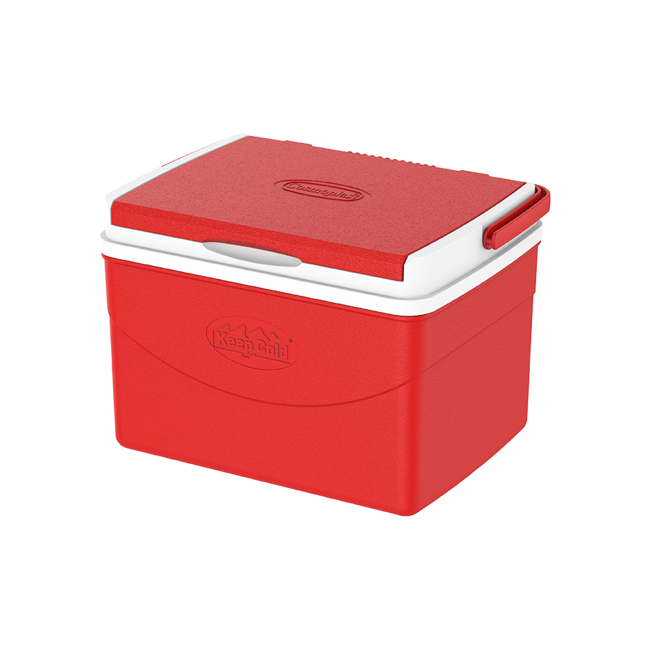 5L Keep Cold Picnic Icebox - Cosmoplast Qatar