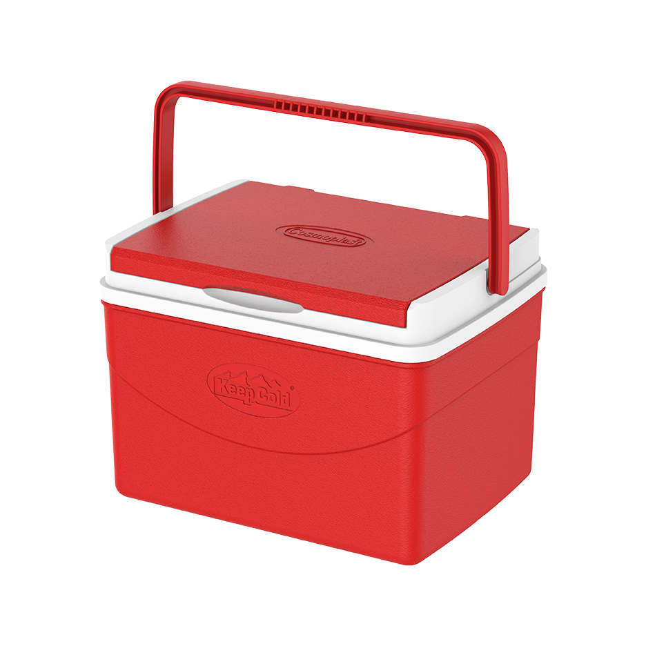 5L Keep Cold Picnic Icebox - Cosmoplast Qatar