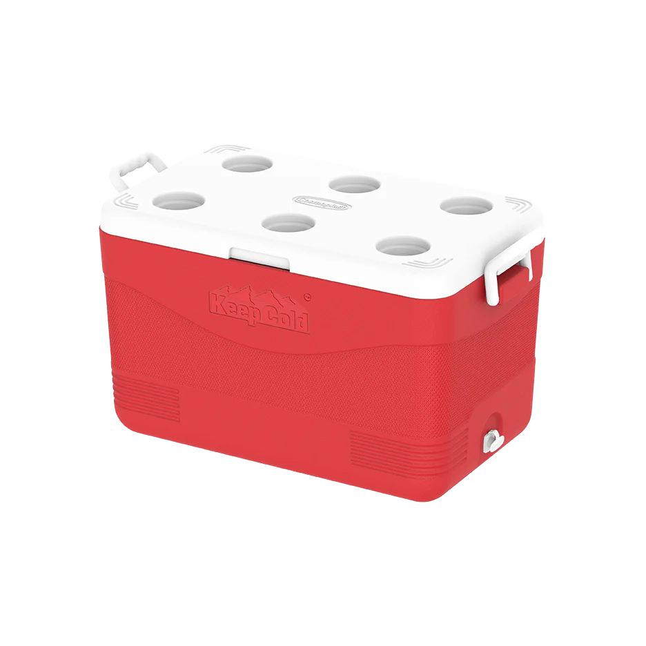 60L KeepCold Picnic Icebox