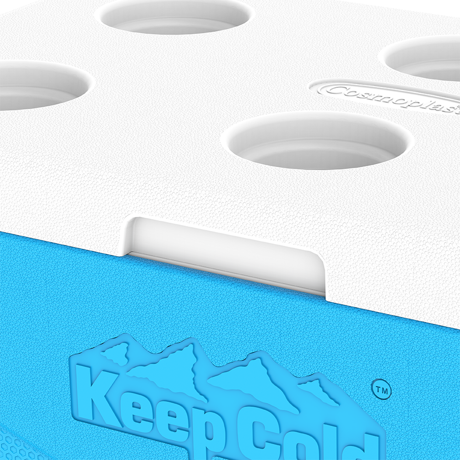 46L KeepCold Picnic Icebox